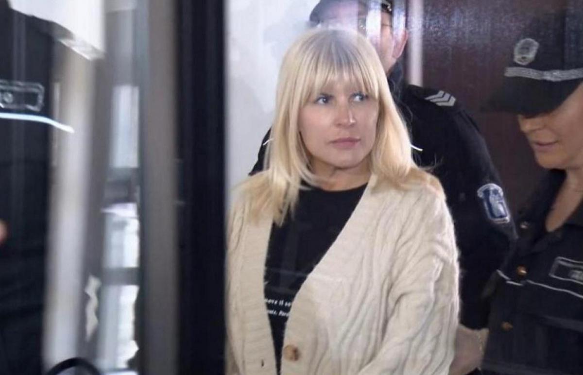 Elena Udrea - AS in Gorj